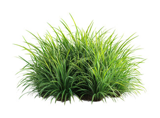Lush green grass bush cutout on for design and high fidelity nature element isolated on transparent background png