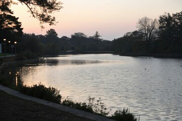 A subtle shimmer on a still pond at dusk, shimmer, calm surface, water