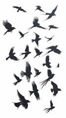 Obraz premium Silhouettes of a flock of birds on a white background. Great for poster design, book covers and websites dedicated to nature and ornithology.