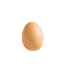 light brown chicken egg floats against a bright white background