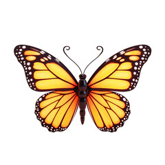 vibrant butterfly with dark brown and white accents on white background