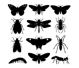 silhouettes of collection of butterflies