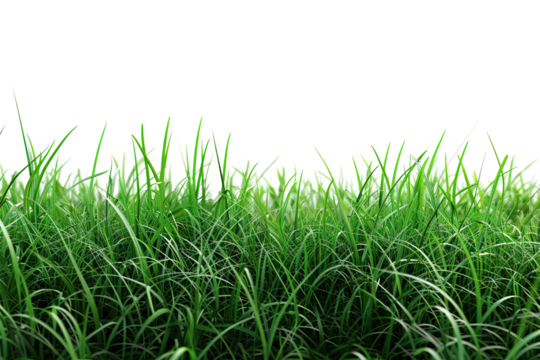 Bright green grass stretches out, dancing softly in the gentle breeze, creating a serene atmosphere on a sunny day in nature's embrace