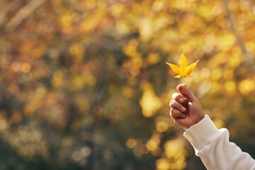 Holding a vibrant maple leaf against a backdrop of autumn colors in a tranquil outdoor setting