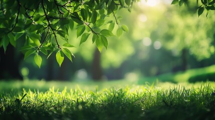 Fototapeta premium Lush green leaves and serene grassy area create a peaceful atmosphere perfect for creative text placement. Generative AI