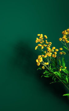 Fototapeta Beautiful Tansy flowers on green background with copy space. Spring greeting card design. 3D Rendering, 3D Illustration