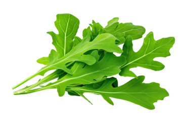 Vibrant green arugula leaves spread out on a clean surface, inviting the exploration of fresh flavors and healthy meal options in a cozy kitchen atmosphere