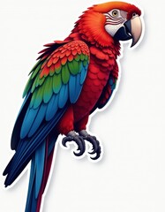 Obraz premium Scarlet Macaw Parrot Illustration