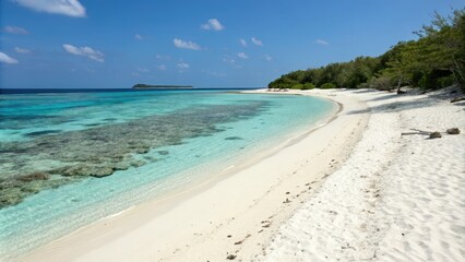 Fototapeta premium A tranquil white sand beach with crystal clear water and coral reef, coral reef, marine life, underwater scene
