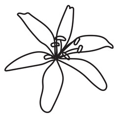 handwritten flower elements 