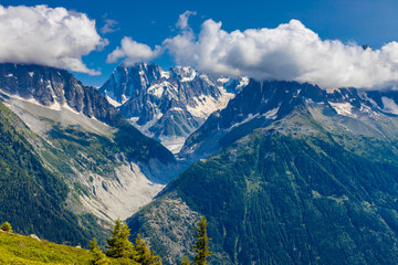 Mer de Glace glacier in the Alps, Chamonix Montblanc valley, France. View of Mer de Glace from above in early summer with rhododendron flowers in front. Melting glacier covered with rock
