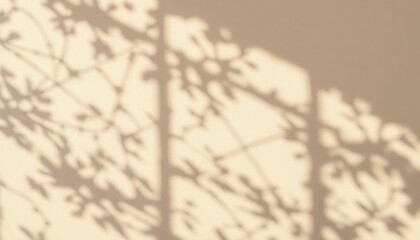 Sunlit leaf shadows cast on neutral wall creating abstract artistic patterns
