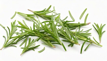 Fototapeta premium Falling rosemary leaves Isolated on White Background