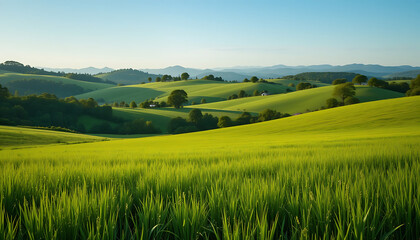 Obraz premium Green Meadow Landscape with Rolling Hills and Lush Countryside Views