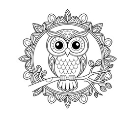 owl on a white background