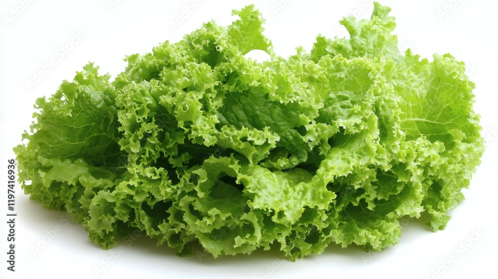 Aufkleber Isolated on white background a group of mixed lettuce varieties placed in a natural cluster Stock Photo with side copy space