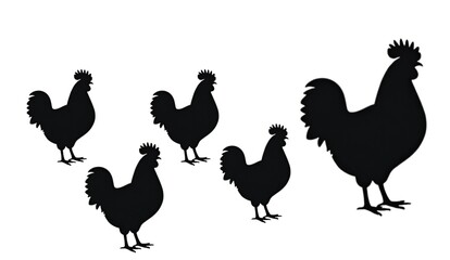Five Chicken black Silhouettes illstration in Various Sizes rooster and hen black illstration on white