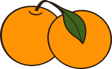 Vector Illustration of Two Oranges with Leaves