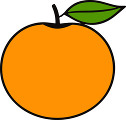 Simple Orange Fruit Illustration