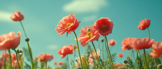 Obraz premium Vibrant petals bloom against a clear blue sky in a mesmerizing display of nature's colors