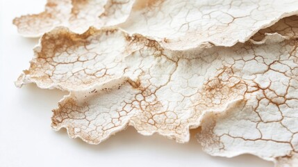 Obraz premium Dried and Cracked Natural Textured Leaf Material with Copy Space for Design Purposes