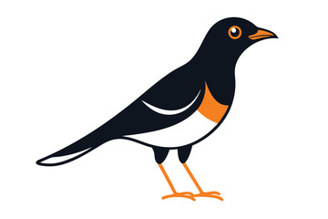 Adobe Illustrator Artwork