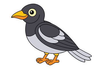 Adobe Illustrator Artwork