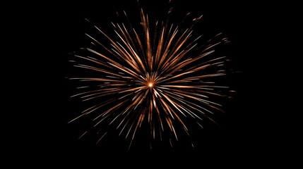 Golden Firework Explosion on Black Background with Copy Space for Text