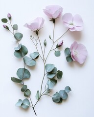 Delicate Pink Flowers and Eucalyptus Leaves on White Background Botanical Art Minimalist Floral Design