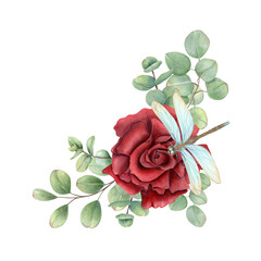 Dark ruby rose flower with eucalyptus branches and sitting damselfly watercolor border. Single flower with demoiselle insect illustration in realistic style. For Valentine day, Mother day cards © Masha_tolk_art