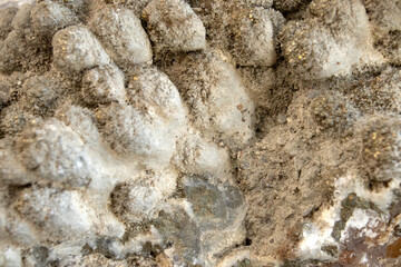 Mineral detail golden pyrite on calcite