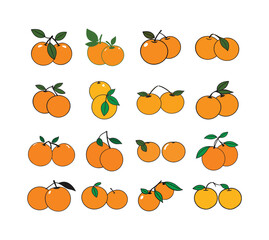 Collection of Orange Fruit Illustrations: A Delightful Set of Vector Graphics