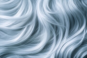 A close-up of a dog's soft, white fur. The texture is fluffy and the details show individual strands of fur.