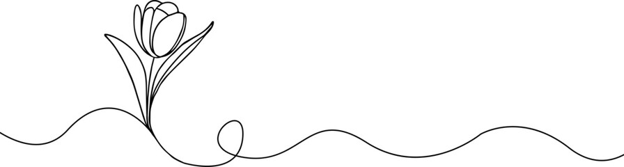 Tulip one line drawing.Abstract flower continuous line. Minimalist contour drawing of tulip. Continuous line drawing of flower tulip.Hand drawn sketch of flower with leaves.