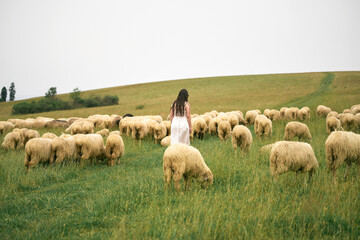 Obraz premium Woman wearing sunglasses and dress walking in a field with sheep