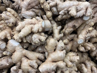 A large quantity of ginger roots closely packed together