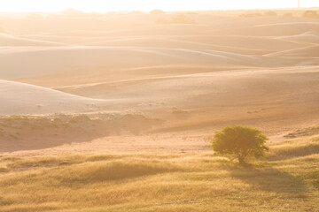 Fototapeta premium Sand dunes in Brazil