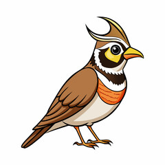 Obraz premium vector illustration of a horned lark bird