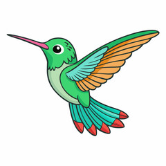 hummingbird  isolated on white