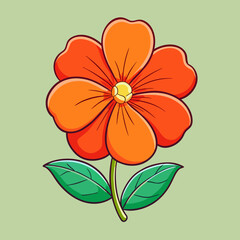 impatiens flower  on a white background