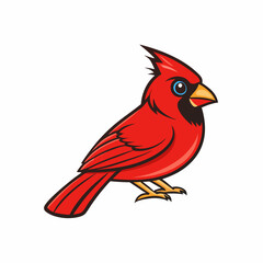 vector illustration of a northern cardinal bird