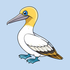 Northern gannet bird vector illustration