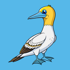 Northern gannet bird vector illustration