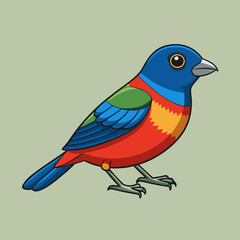 vector illustration of a painted bunting bird