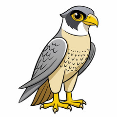 peregrine  falcon cartoon isolated on white