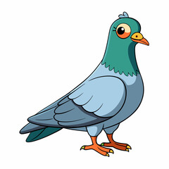 vector illustration of a pigeon bird