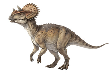 Fototapeta premium Pachyrhinosaurus: Profile of a Prehistoric Herbivore 