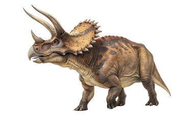 Majestic Triceratops: A detailed illustration of a Triceratops, a three-horned herbivorous dinosaur, showcasing its powerful build, distinctive frill, and sharp horns against a clean background.