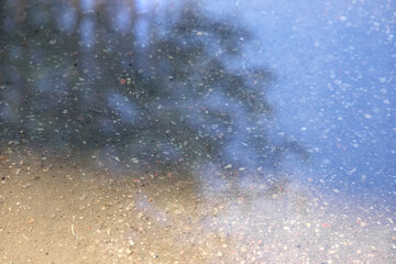 
The reflection of the water surface, in which a fragment of the silhouette of a tree is hazily reflected.