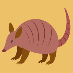 vector illustration of a cartoon armadillo